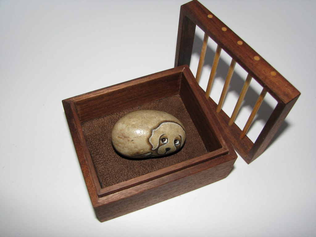Pet Rock With Handcrafted Pet Crate. Your Choice Of Pet Puppy Or Kitten.